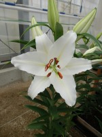 [5669 VZ W09 0587-01 No02.JPG]